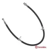 Bremsschlauch Vorderachse rechts BREMBO T 28 008