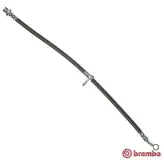 Bremsschlauch Vorderachse links rechts BREMBO T 28 014