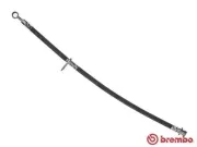 Bremsschlauch Hinterachse rechts BREMBO T 28 090