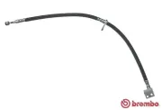 Bremsschlauch Vorderachse links BREMBO T 28 106