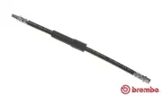 Bremsschlauch Vorderachse links rechts BREMBO T 50 058