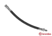 Bremsschlauch Hinterachse links rechts BREMBO T 54 019