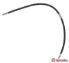 Bremsschlauch Vorderachse links rechts BREMBO T 54 052