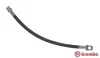 Bremsschlauch Vorderachse links rechts BREMBO T 56 114