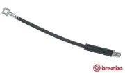Bremsschlauch BREMBO T 59 006