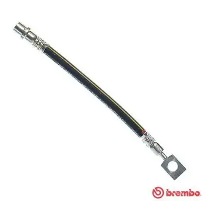 Bremsschlauch Hinterachse außen links rechts BREMBO T 59 015