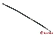 Bremsschlauch Vorderachse links rechts BREMBO T 59 029