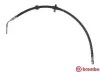 Bremsschlauch Hinterachse rechts BREMBO T 61 060