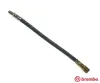 Bremsschlauch Vorderachse links rechts BREMBO T 68 018