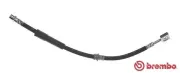 Bremsschlauch Vorderachse links rechts BREMBO T 71 015