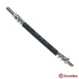 Bremsschlauch Vorderachse links mitte rechts BREMBO T 79 001