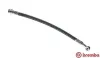 Bremsschlauch Vorderachse links rechts BREMBO T 79 005