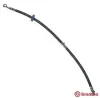 Bremsschlauch Vorderachse rechts BREMBO T 79 008