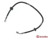 Bremsschlauch Vorderachse links BREMBO T 79 009