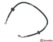 Bremsschlauch Vorderachse links BREMBO T 79 009