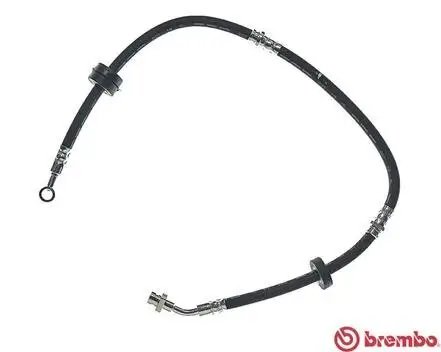 Bremsschlauch Vorderachse links BREMBO T 79 009 Bild Bremsschlauch Vorderachse links BREMBO T 79 009
