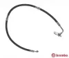 Bremsschlauch Vorderachse rechts BREMBO T 79 032