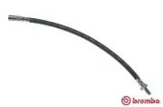 Bremsschlauch Vorderachse links rechts BREMBO T 83 004
