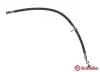 Bremsschlauch Vorderachse rechts BREMBO T 83 010