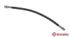 Bremsschlauch Vorderachse links rechts BREMBO T 83 116