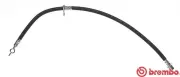 Bremsschlauch BREMBO T 83 120