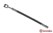 Bremsschlauch Hinterachse am Bremssattel BREMBO T 85 068