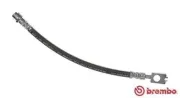 Bremsschlauch Hinterachse links rechts BREMBO T 85 116