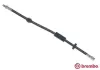 Bremsschlauch BREMBO T 86 035