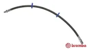 Bremsschlauch Vorderachse links rechts BREMBO T A6 024
