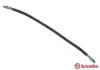Bremsschlauch Hinterachse links rechts BREMBO T A6 026