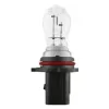 Glühlampe, Park-/Positionsleuchte 12 V 19 W P13W ams-OSRAM 828 Bild Glühlampe, Park-/Positionsleuchte 12 V 19 W P13W ams-OSRAM 828