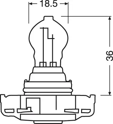 Glühlampe, Blinkleuchte 12 V 24 W PSY24W ams-OSRAM 2503A Bild Glühlampe, Blinkleuchte 12 V 24 W PSY24W ams-OSRAM 2503A