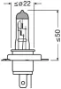 Glühlampe, Fernscheinwerfer 12 V 60/55 W H19 ams-OSRAM 64181L Bild Glühlampe, Fernscheinwerfer 12 V 60/55 W H19 ams-OSRAM 64181L