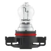 Glühlampe, Blinkleuchte 12 V 24 W PSX24W ams-OSRAM 2504 Bild Glühlampe, Blinkleuchte 12 V 24 W PSX24W ams-OSRAM 2504