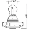 Glühlampe, Blinkleuchte 12 V 19 W PS19W ams-OSRAM 5201 Bild Glühlampe, Blinkleuchte 12 V 19 W PS19W ams-OSRAM 5201