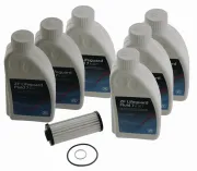 Teilesatz, Automatikgetriebe-Ölwechsel ZF 5961.308.278