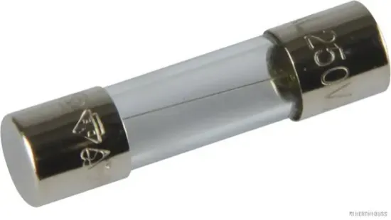 Sicherung HERTH+BUSS ELPARTS 50295053 Bild Sicherung HERTH+BUSS ELPARTS 50295053
