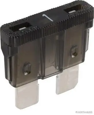 Sicherung HERTH+BUSS ELPARTS 50295401 Bild Sicherung HERTH+BUSS ELPARTS 50295401