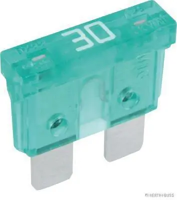Sicherung HERTH+BUSS ELPARTS 50295430 Bild Sicherung HERTH+BUSS ELPARTS 50295430