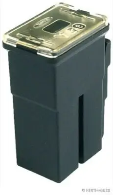 Sicherung HERTH+BUSS ELPARTS 50295473 Bild Sicherung HERTH+BUSS ELPARTS 50295473