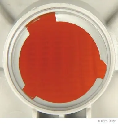 Blinkleuchte rechts HERTH+BUSS ELPARTS 82700105 Bild Blinkleuchte rechts HERTH+BUSS ELPARTS 82700105