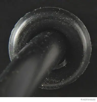 Kennzeichenleuchte HERTH+BUSS ELPARTS 84750027 Bild Kennzeichenleuchte HERTH+BUSS ELPARTS 84750027