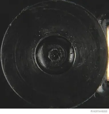 Kennzeichenleuchte HERTH+BUSS ELPARTS 84750058 Bild Kennzeichenleuchte HERTH+BUSS ELPARTS 84750058