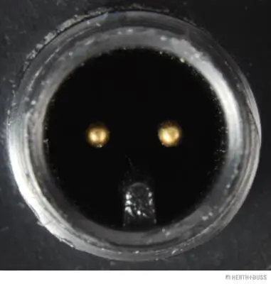 Kennzeichenleuchte HERTH+BUSS ELPARTS 84750219 Bild Kennzeichenleuchte HERTH+BUSS ELPARTS 84750219