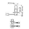 Glühlampe, Fernscheinwerfer 12 V 55 W H3 PHILIPS 12336LLECOC1 Bild Glühlampe, Fernscheinwerfer 12 V 55 W H3 PHILIPS 12336LLECOC1