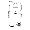 Glühlampe, Blinkleuchte 12 V 10 W RY10W Kugellampe PHILIPS 12093NACP Bild Glühlampe, Blinkleuchte 12 V 10 W RY10W Kugellampe PHILIPS 12093NACP