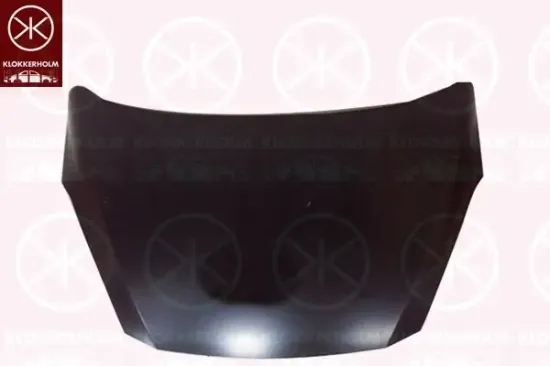 Motorhaube KLOKKERHOLM 2566280A1 Bild Motorhaube KLOKKERHOLM 2566280A1