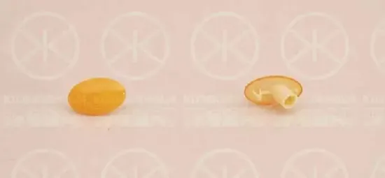 Blinkleuchte beidseitig KLOKKERHOLM 50220600 Bild Blinkleuchte beidseitig KLOKKERHOLM 50220600