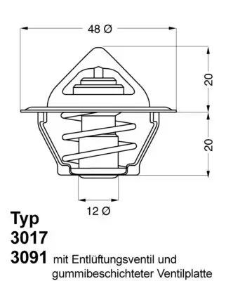 Thermostat, Kühlmittel BorgWarner (Wahler) 3017.92D2