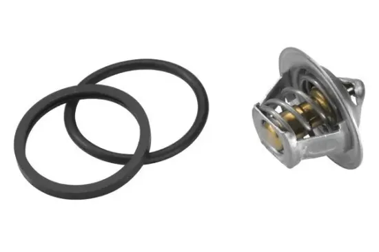 Thermostat, Kühlmittel BorgWarner (Wahler) 3017.87D50 Bild Thermostat, Kühlmittel BorgWarner (Wahler) 3017.87D50